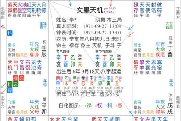 紫薇斗数马落空亡格