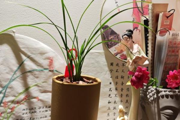 翠兰风水寓意