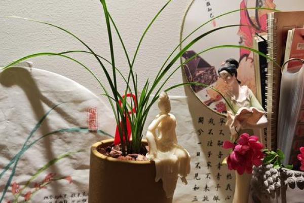 翠兰风水寓意