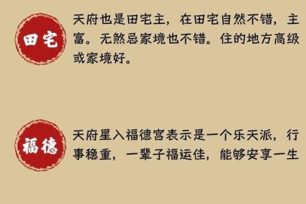 长寿的紫薇斗数