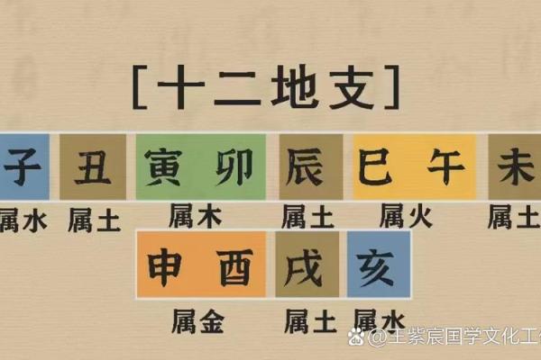 八字十二地支的五行属性