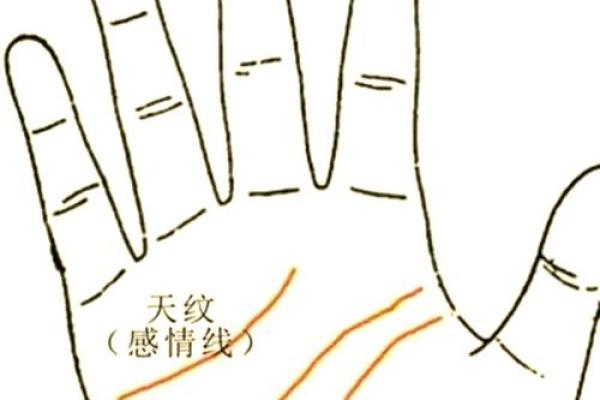 手纹线看相 手纹看相算命图解
