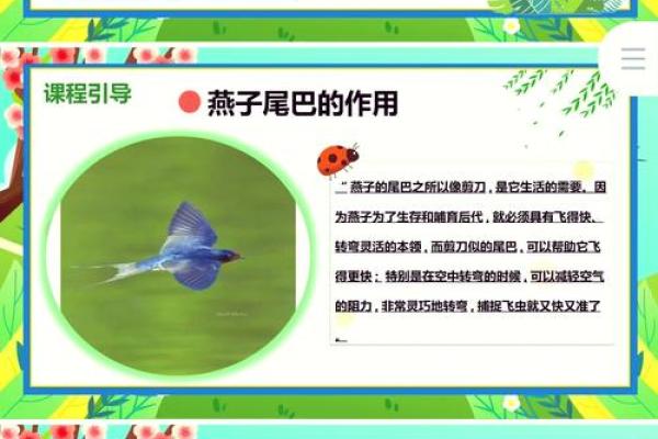 燕子科学风水