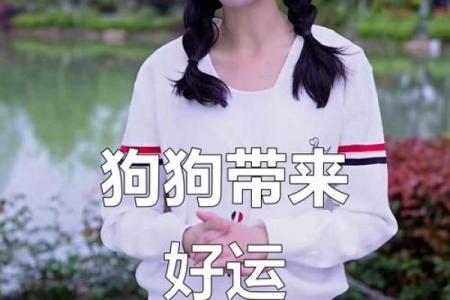 养宠物也是要讲究风水的