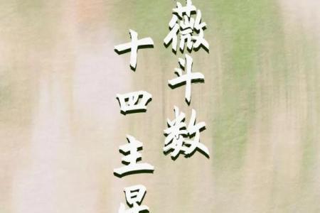 紫薇斗数看网红粉丝