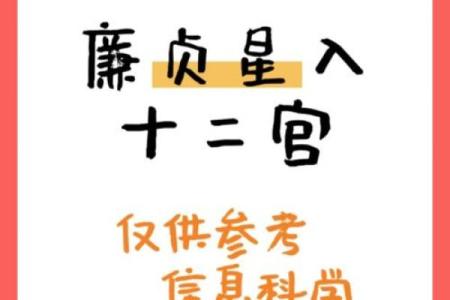紫薇斗数廉贞星文昌同宫