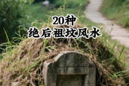 城市风水_别人的祖坟要葬在我家地里