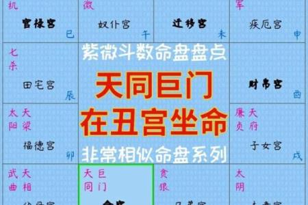紫微斗数之事业宫与诸星，天同星在事业宫是什么意思？