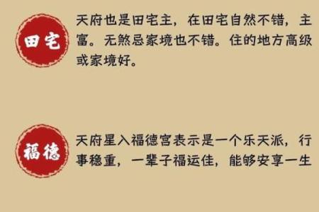 长寿的紫薇斗数