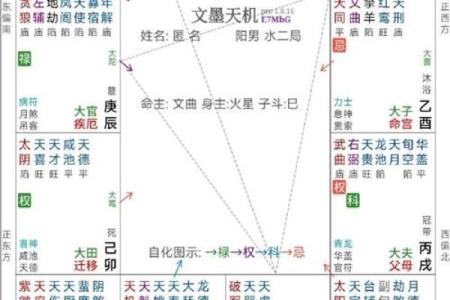 网上紫薇斗数不准