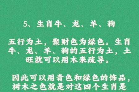 八字偏财的命喜欢什么颜色