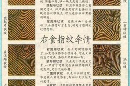 圆形手指算命