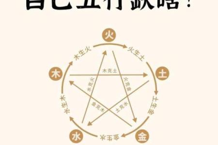 查八字五行
