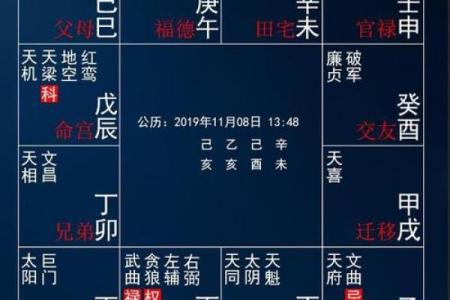紫薇斗数测股票