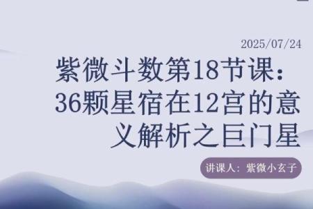紫薇斗数里的巨门星啥意思