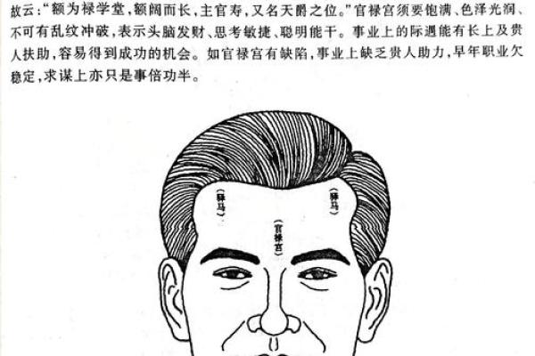 面相算命图解十二宫之：兄弟宫