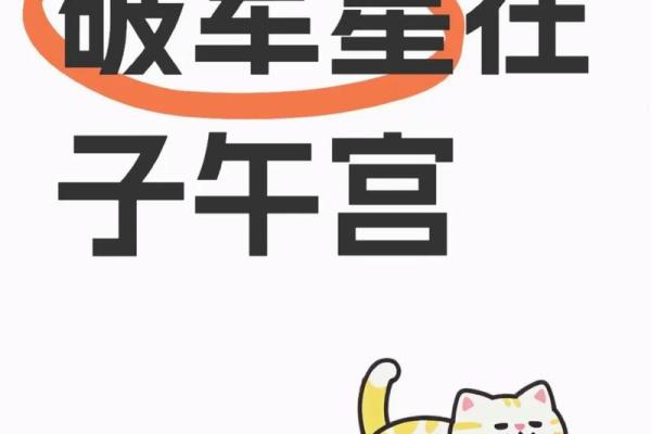 紫薇斗数子午宫