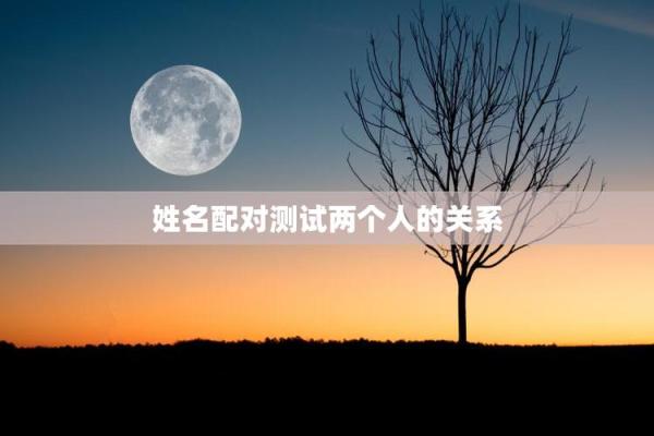 姓名配对打分测两人关系 姓名配对打分测试免费？