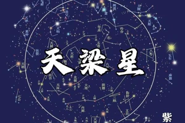 紫薇斗数的天罗地网