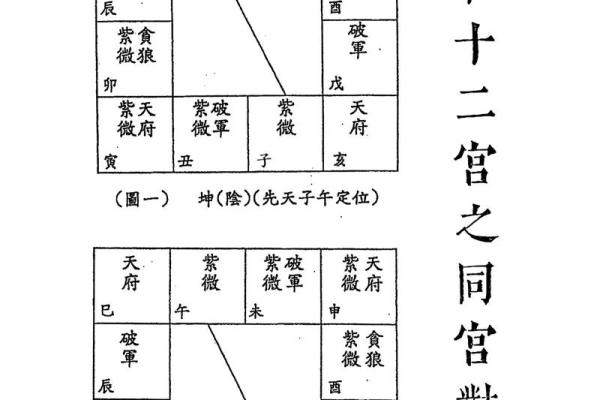 紫微斗数之疾厄宫与诸星，紫微星在疾病宫是什么意思？