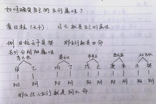 五行八字