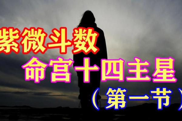 紫薇斗数视频奖励