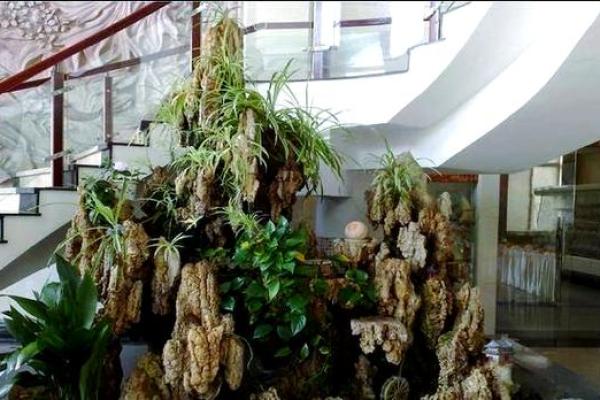 风水假山的摆放
