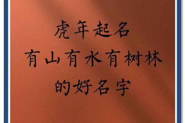 名字测试虎年吉凶打分