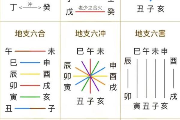 算命的需要学什么专业
