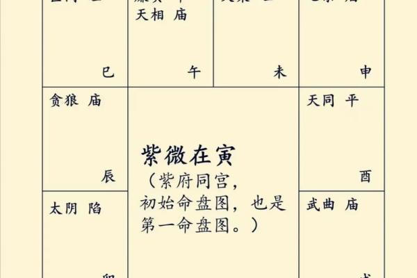 紫薇科技紫微斗数