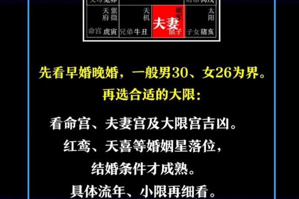 出轨的紫薇斗数