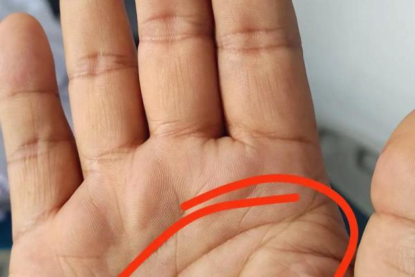 男人手上有9个斗的命运 手相算命