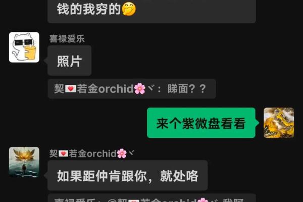 紫薇斗数联系群
