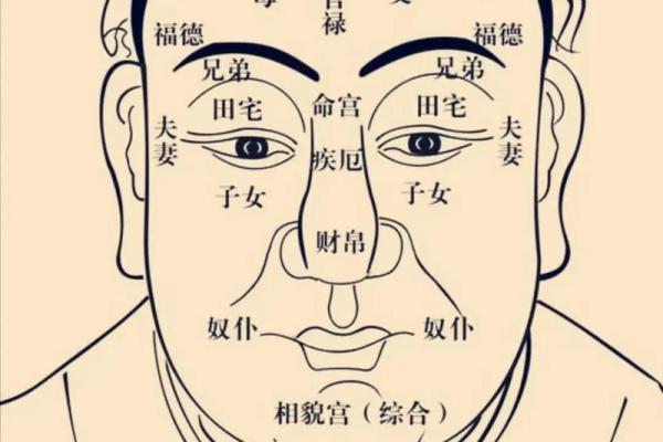 腾讯紫微命盘免费算命