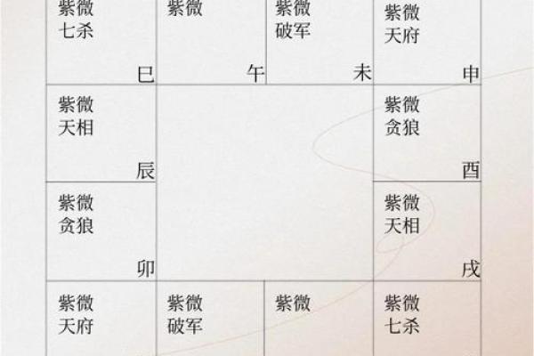紫薇斗数命宫原理 紫薇斗数命宫原理