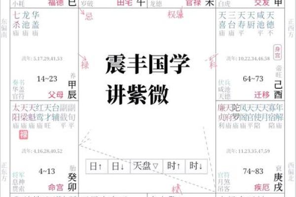 清朝道光皇帝紫微斗数命盘 清代道光？