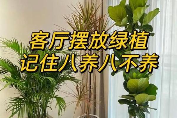 室内房间里养花须知的风水禁忌