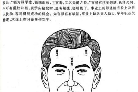 面相算命图解十二宫之：兄弟宫
