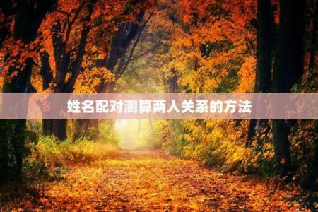 姓名配对打分测两人关系 姓名配对打分测试免费？