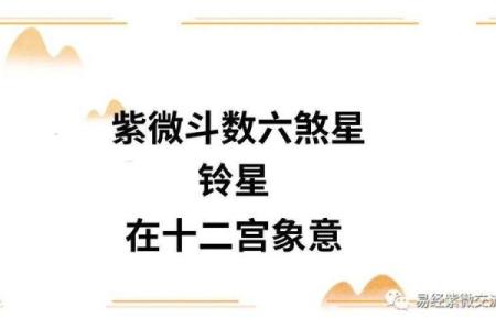 紫薇斗数财帛官陀螺