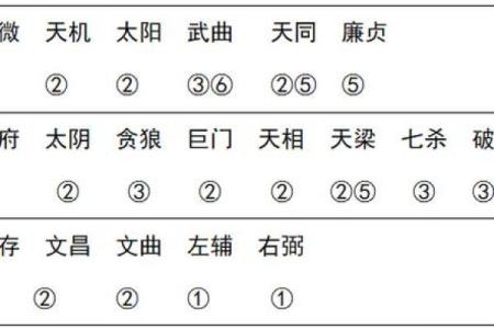 紫薇斗数和推背数