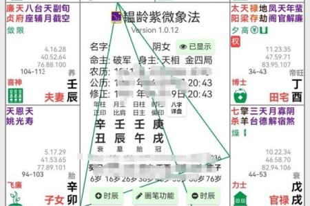 紫微斗数看远嫁 紫微斗数看移民远嫁？