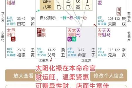 紫薇斗数怎么排名盘