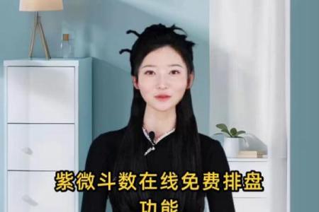 紫薇斗数在线摆盘