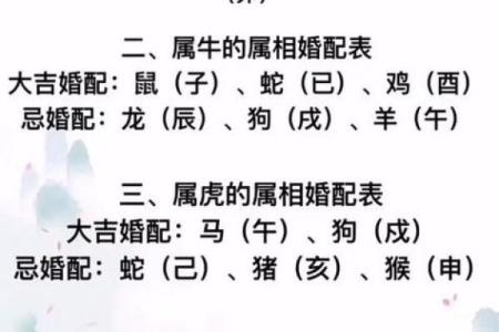 生肖姻缘算命