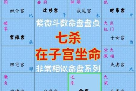 紫薇斗数明盘