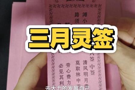 观音签第十三签上上签