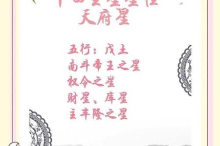 紫薇斗数财帛宫天月