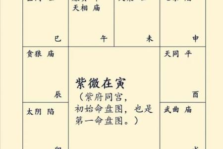 紫薇科技紫微斗数