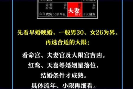 出轨的紫薇斗数